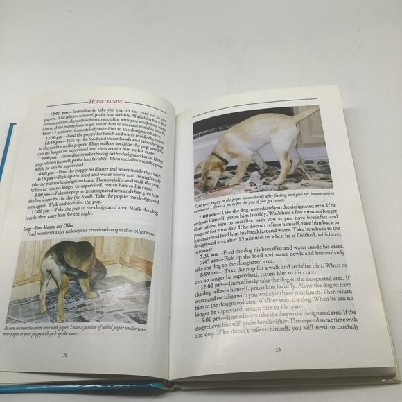 A New Owner's Guide to Dog Training By Dorman Pantoeder - Picture 4 of 10